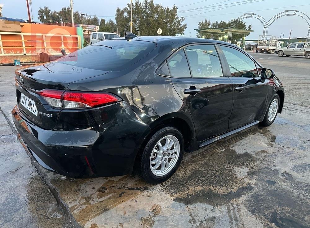 تويوتا كورولا